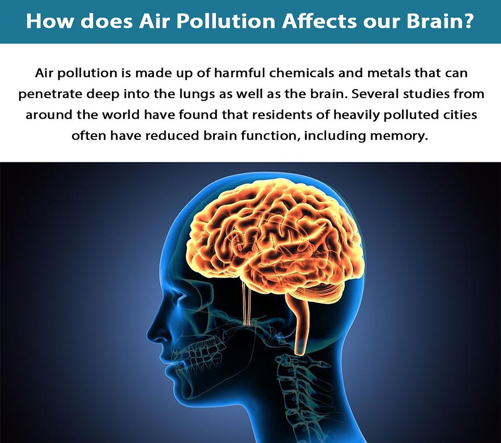 Does Air Pollution Impact from Traffic Damage Our Brain Function?